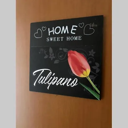 Sweet Montecristo Civico 1