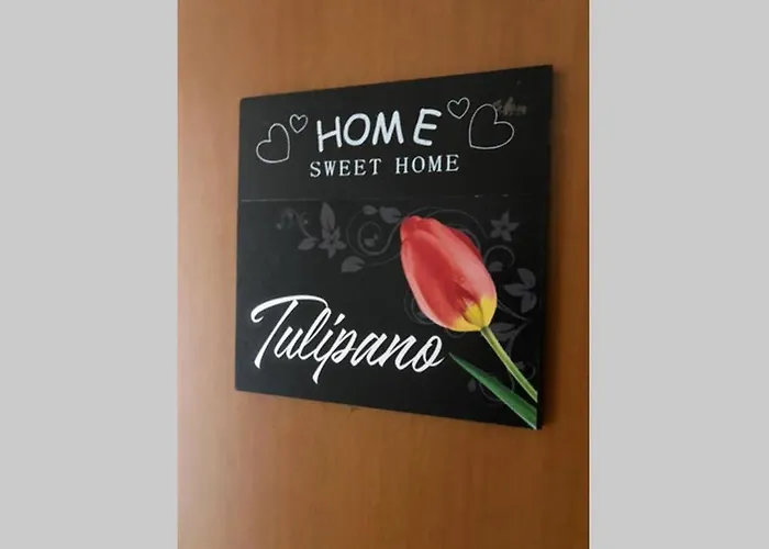 Sweet Montecristo Civico 1